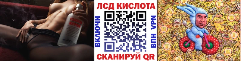 дарнет шоп  Когалым  Наркотические марки 1,8мг 