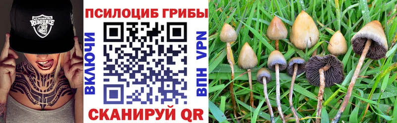 OMG как зайти  Когалым  Псилоцибиновые грибы мицелий 